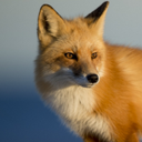 John Botten - @john_botten - Twitter