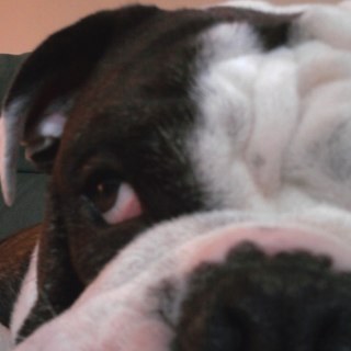 jdoran4653's profile picture. Peaked at 13. It has been downhill ever since.