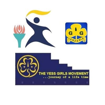 YESS Girls Movement Tanzania Non profit organisation The YESS Girls Movement is an international Exchange Programme for young women aged 18-35 years