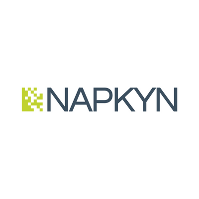 Napkyn helps senior executives at large digital enterprises use analytics to make better informed business decisions.