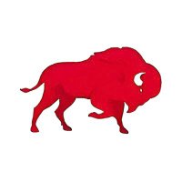 All In Sports Buffalo (@allinsportsbuff) 's Twitter Profile