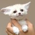 yuya sato (@yuyasato__) Twitter profile photo yuya sato (@yuyasato__) Twitter profile photo