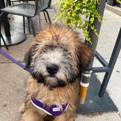 B_Hildebrandt9's profile picture. 