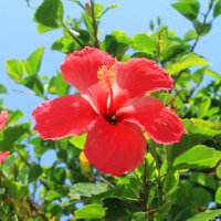 Spike🌺 (@takayasu_107) 's Twitter Profile