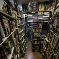 The Librarian (@lemon_librarian) 's Twitter Profile