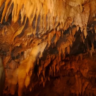 Remotework23's profile picture. 神奈川によく出没