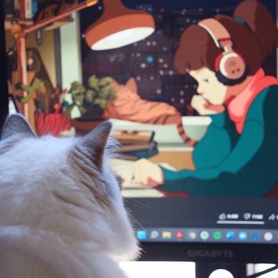 Security Analyst | eWPTXv2 | CEH | Bug Bounty | Pentester