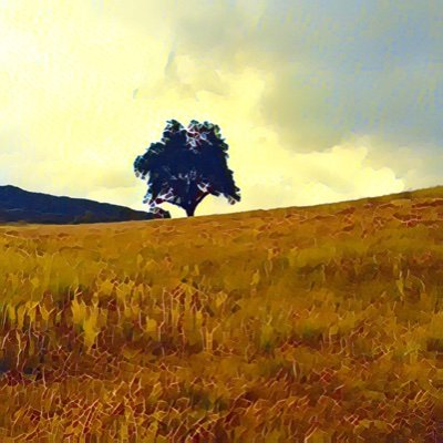 ReidDavid20's profile picture. 