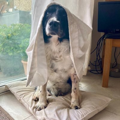 jeannnttt's profile picture. I just dropped in to say hi