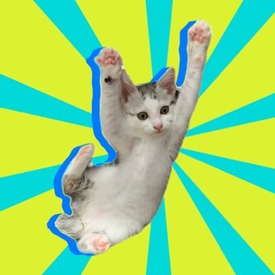 保護猫親子と人間の成長記録をのせます。 ふうちゃん(推定2歳 ♀母猫 家庭内野良猫) くまちゃん(5/18生 ♀) 寛平ちゃん(5/18生 ♀) https://t.co/wg7X4HUfSd