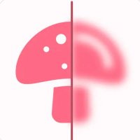 Mushroom Identification App (@appmushroom) 's Twitter Profile