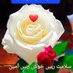 حاجی شراف الدین سدوزی (@sdwzy) Twitter profile photo حاجی شراف الدین سدوزی (@sdwzy) Twitter profile photo