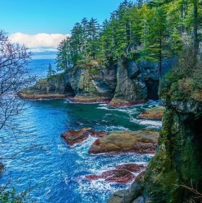 BrianBiwot4's profile picture. 