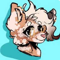 Derpiest Doe In The West(@DerpiestW) 's Twitter Profile Photo