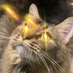 Anti-Authoritarian Kitty (@bitsy_the_kitty) Twitter profile photo Anti-Authoritarian Kitty (@bitsy_the_kitty) Twitter profile photo