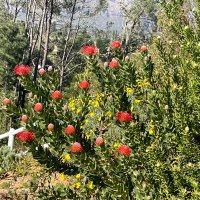 Tim Rudd (@timrudd11) 's Twitter Profile