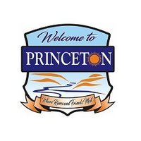 Princeton BC(@PrincetonBC3) 's Twitter Profile Photo