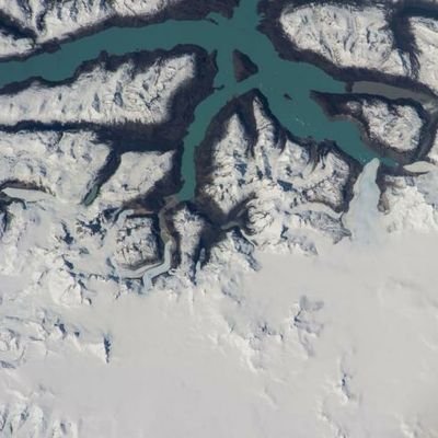 Nufeoe's profile picture. 