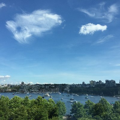 zhanbingzhen's profile picture. 