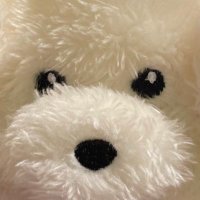 ⭐︎学童保育⭐︎ (@monosub_) 's Twitter Profile