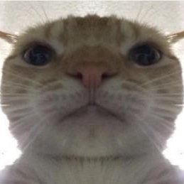 fer_nob_'s profile picture. 