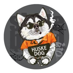 Huske Doge Chain brings crypto applications like #NFTs and #DeFi to the #dogechain community! https://t.co/j3F6UpJZUD