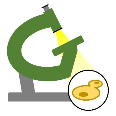 Greenberg Lab Profile