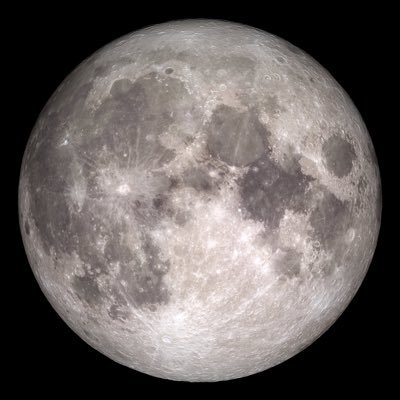 Teacher of Reception Moon at Adamsdown Primary School. Follow us to see all the amazing things we have been getting up to! 😊🌙