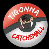 TigonnaCatchEmAll (@tigonna10) Twitter profile photo