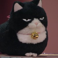 Thomas S. (@hankfromhell) 's Twitter Profile Photo Thomas S. (@hankfromhell) 's Twitter Profile Photo