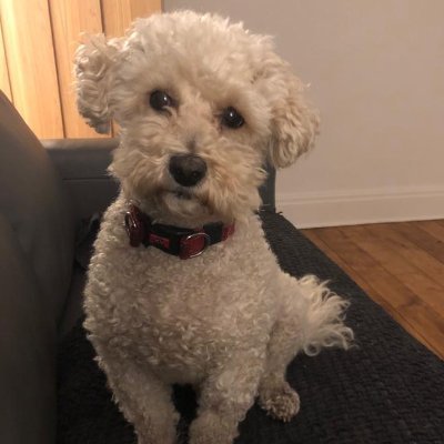 0x_devlpr's profile picture. Software Eng | DeFi | NFTs