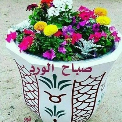 Free2Mercury's profile picture. Mercury Free Dentistry