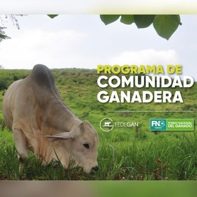 Fedegn2's profile picture. 