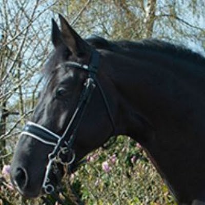 Charlie01192359's profile picture. 