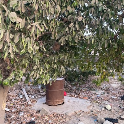 Modou42872365's profile picture. #No Reason To Regret The Past. Just Learn From It 🙌