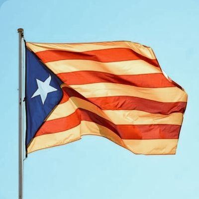 GabyRebek's profile picture. 