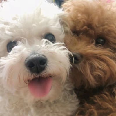 C200xNFT's profile picture. I do understand,I just don't care!®