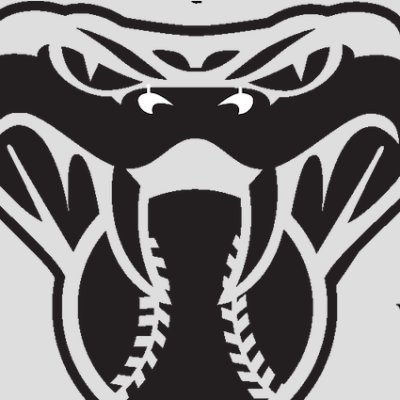 The official twitter account of the NEN Softball Coop; Pender HS & Wisner-Pilger HS; Head Coach: Clay Haymart; Pender HS 
(Pender Lead School)