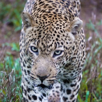 ljg514's profile picture. 