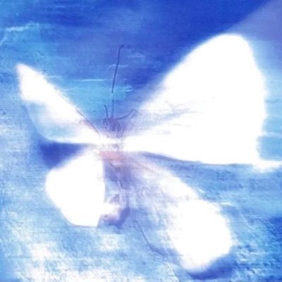 Nikaさんのプロフィール画像