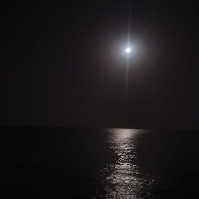 amra700's profile picture. سبحان الله والحمد لله والله أكبر لا إله إلا الله وحده لا شريك له له الملك وله الحمد وهو على كل شيء قدير