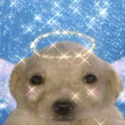 Krissmsさんのプロフィール画像