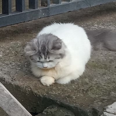 ribetamat_hidup's profile picture. 