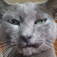 Zonkers1965 (@thomascoster4) 's Twitter Profile