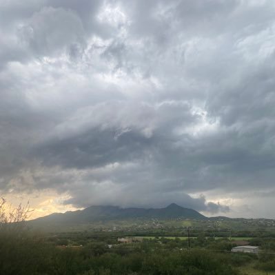 alonsodelpiero's profile picture. 