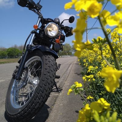 kumasan_konchi8's profile picture. 🏍️SUZUKI vanvan200 (2016年式)