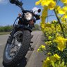 kumasan_konchi8's profile picture. 🏍️SUZUKI vanvan200 (2016年式)