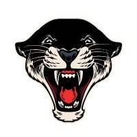 big cats ent.(@BigCatsEnt) 's Twitter Profile Photo