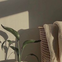 . (@mem___a0) 's Twitter Profile