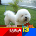 Marcos (@marcosluizv1) Twitter profile photo Marcos (@marcosluizv1) Twitter profile photo